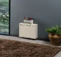 Metal Ayakkabılık 1'li
